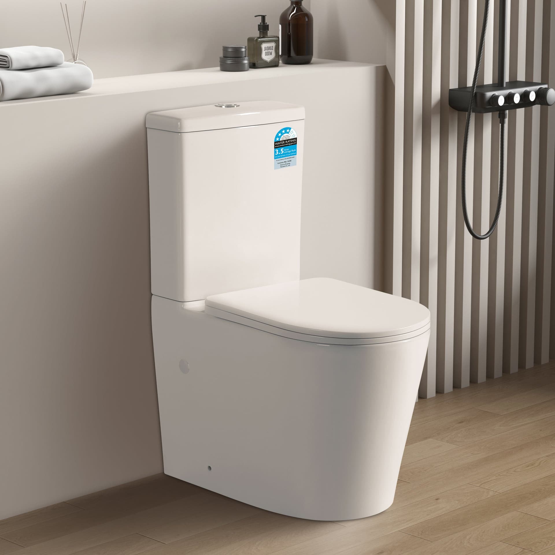 Wall Hung Toilet Rimless